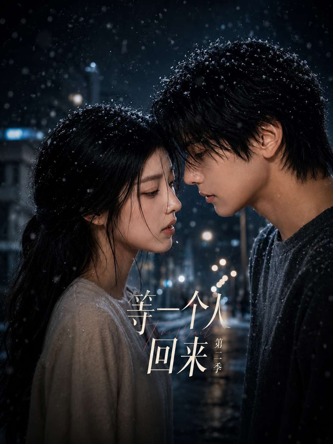 等一个人回来 第二季